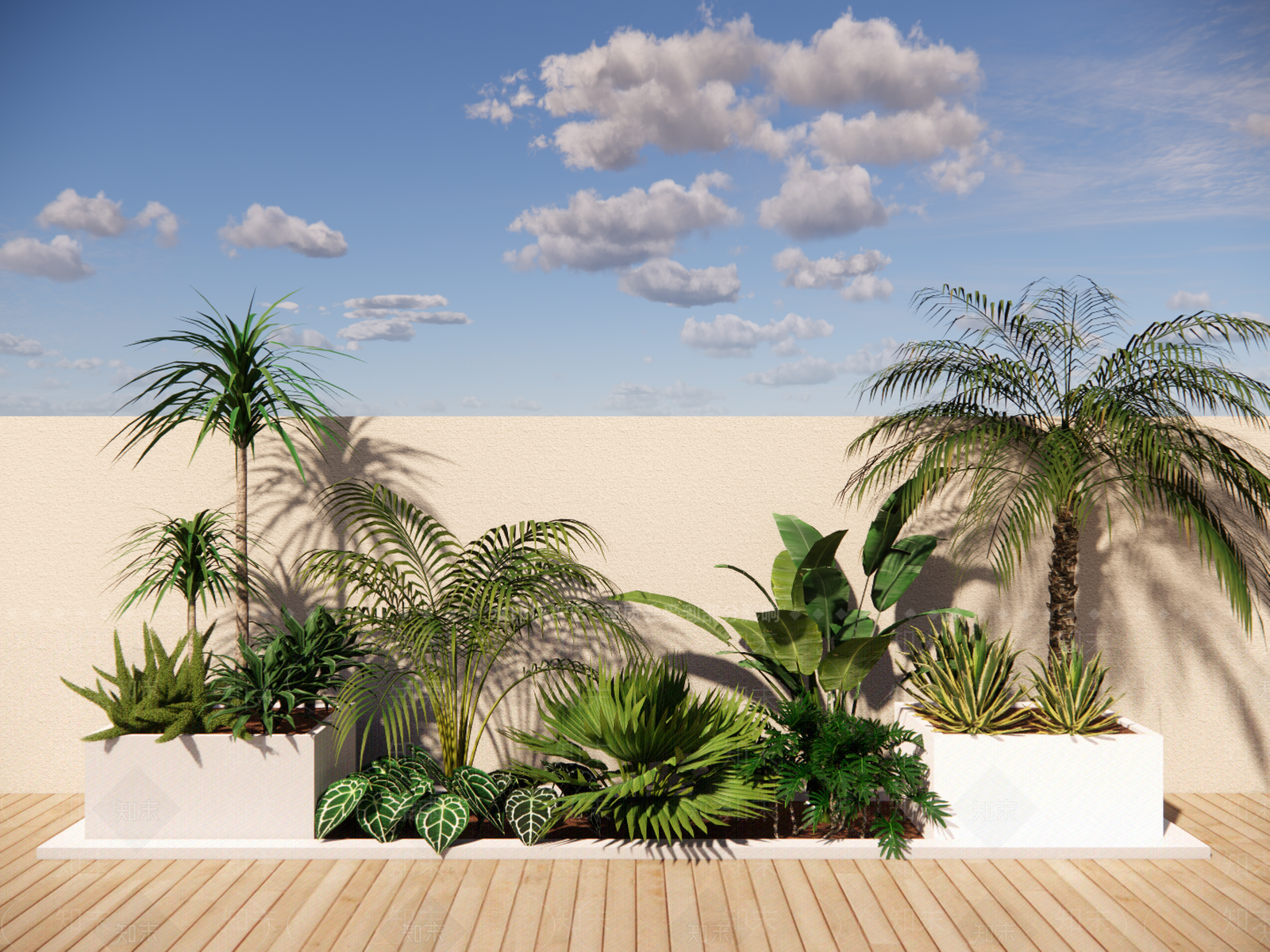 热带植物组合SU模型下载【ID:1161886278】