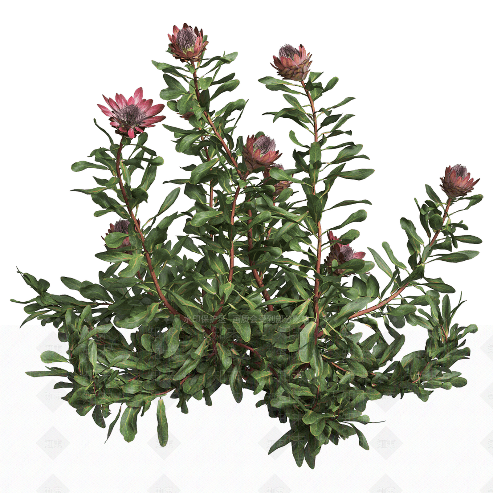 现代树景观树灌木植物3D模型下载【ID:1161943081】