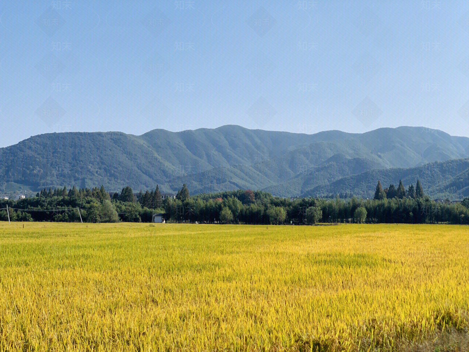 乡村高清贴图材质