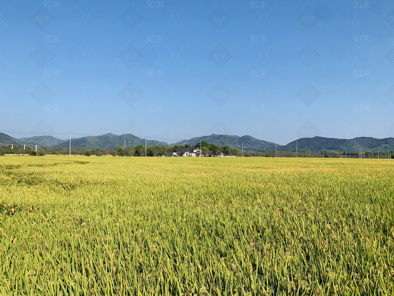乡村高清贴图材质
