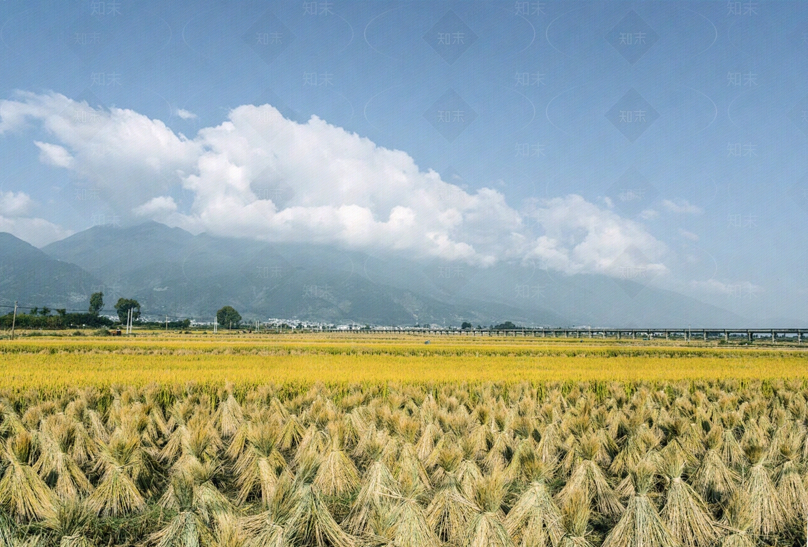 乡村高清贴图材质