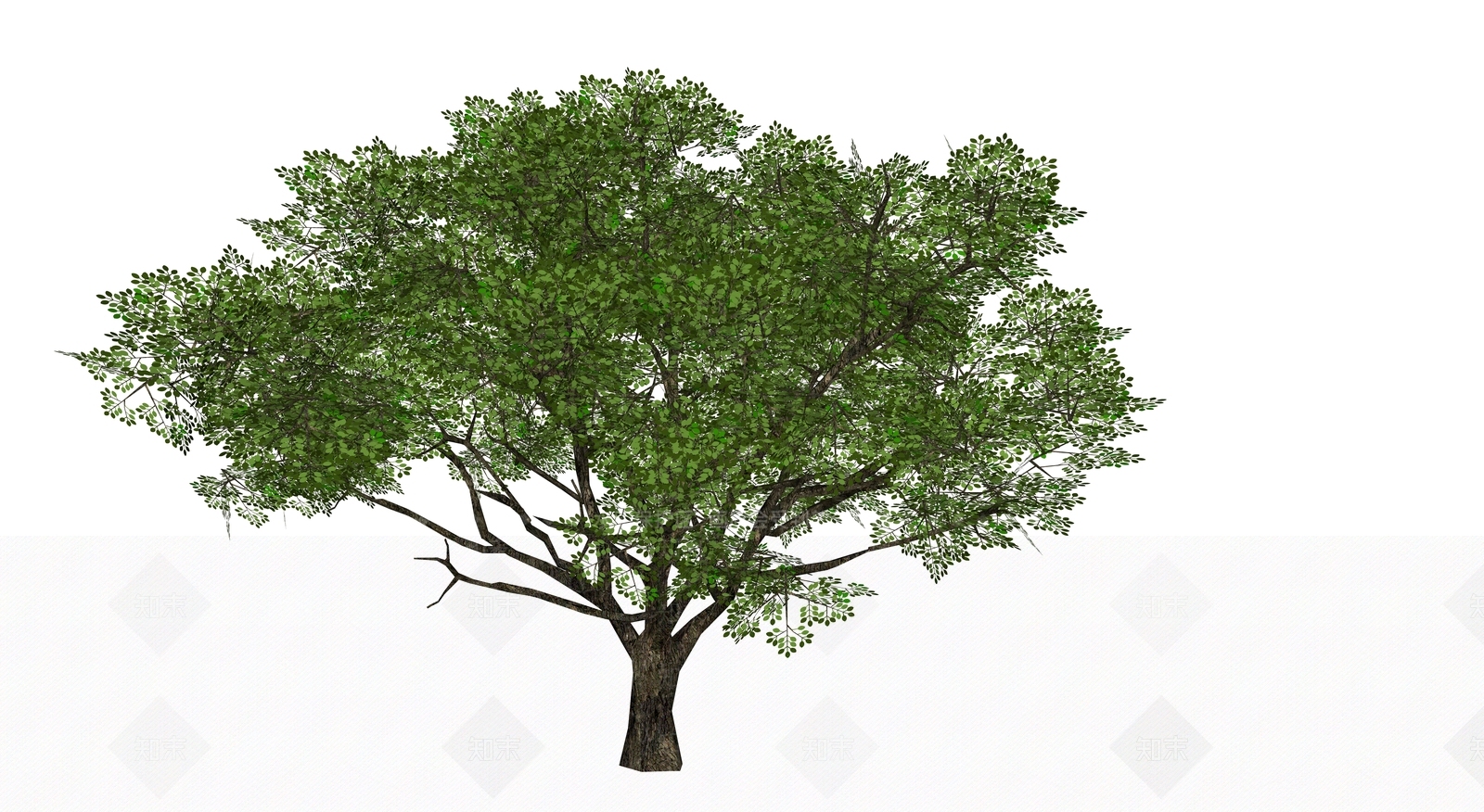 景观大树SU模型下载【ID:1161960135】