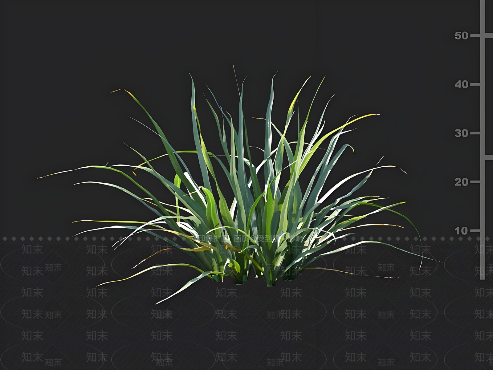 蜜百合3D模型下载【ID:1162006483】