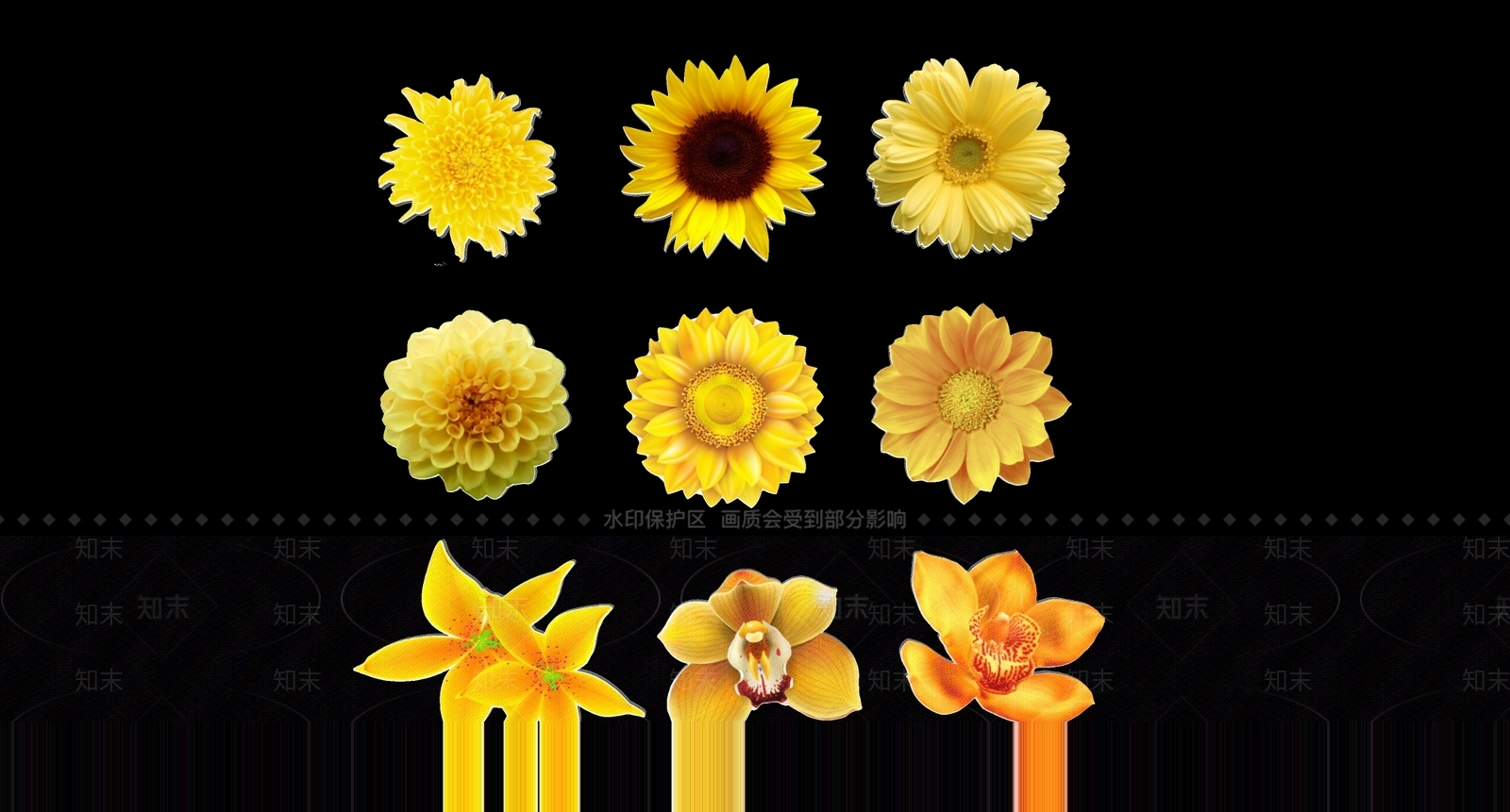 2D手绘唯美小清新花卉花朵植物剪影3D模型下载【ID:1161976870】