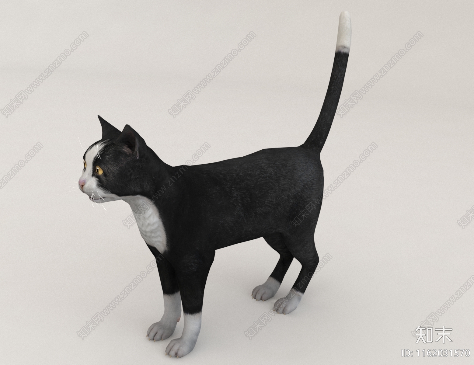 宠物猫3D模型下载【ID:1162031570】