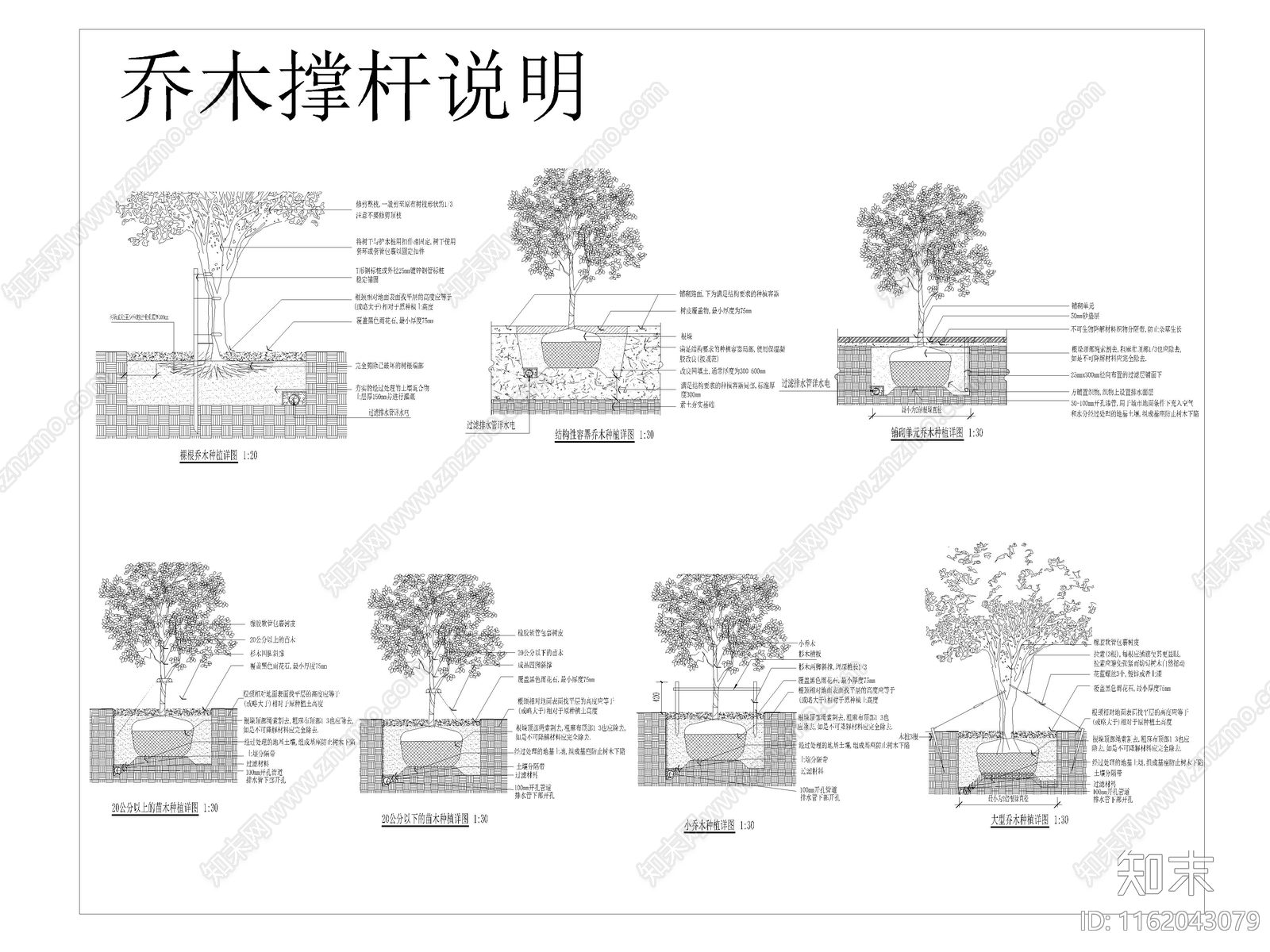 植物种植说明及植物表施工图下载【ID:1162043079】