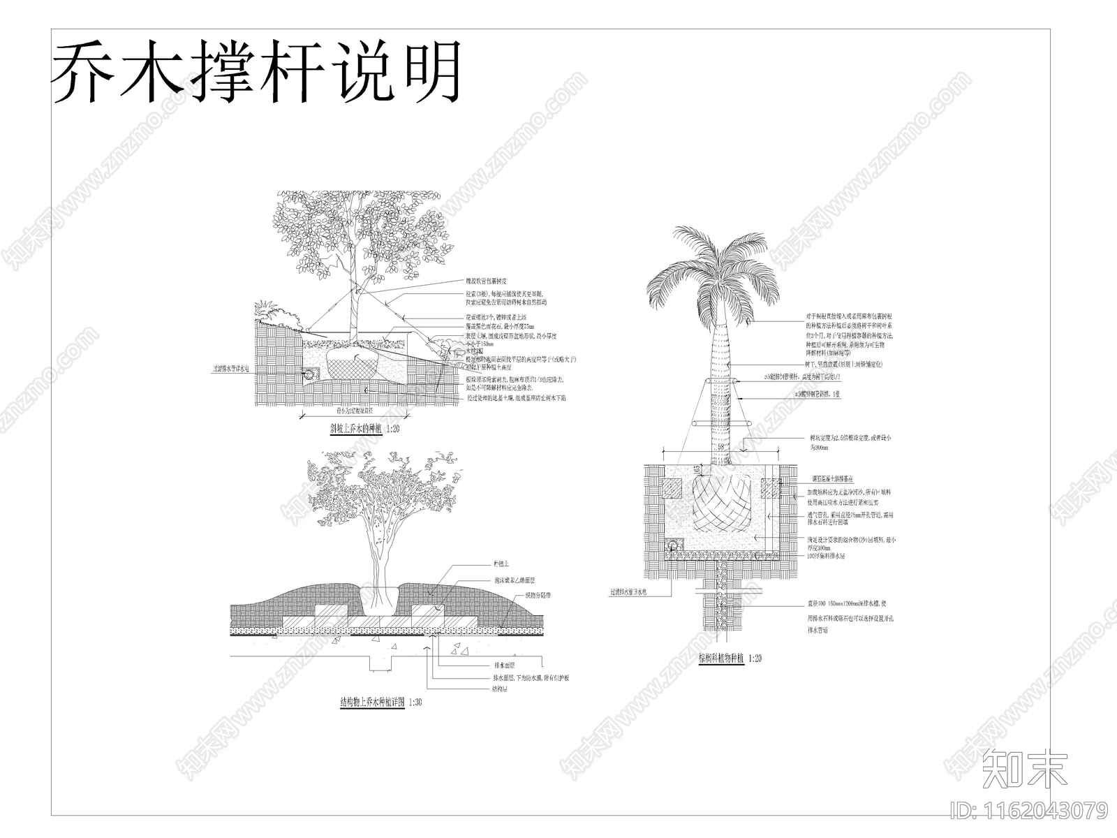 植物种植说明及植物表施工图下载【ID:1162043079】