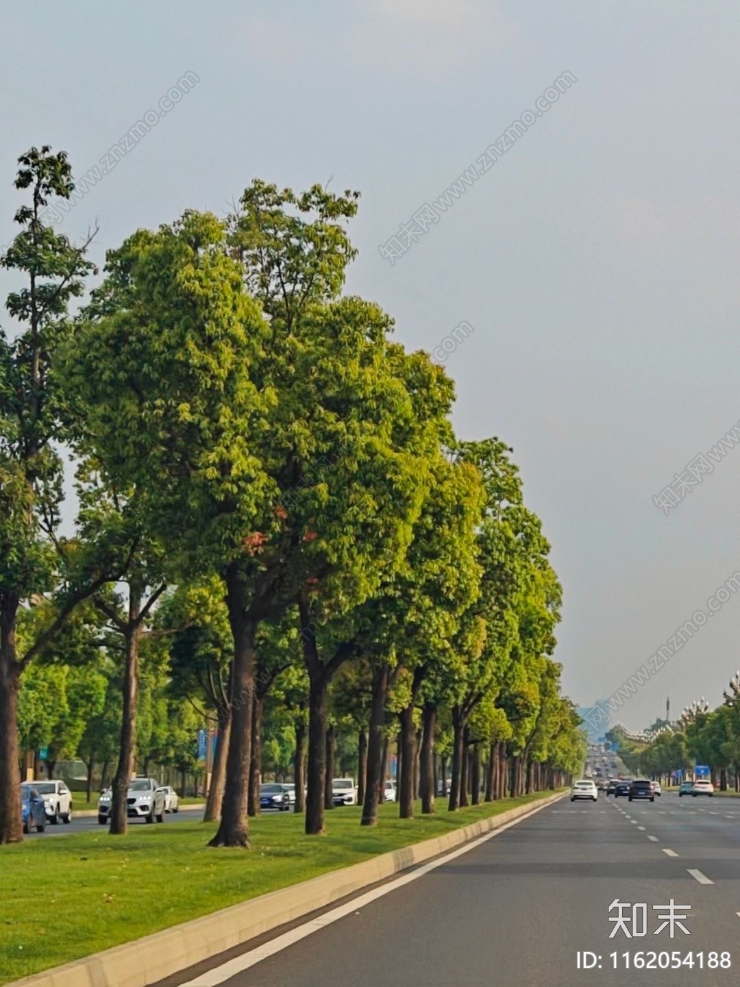 无缝道路外景贴图下载【ID:1162054188】