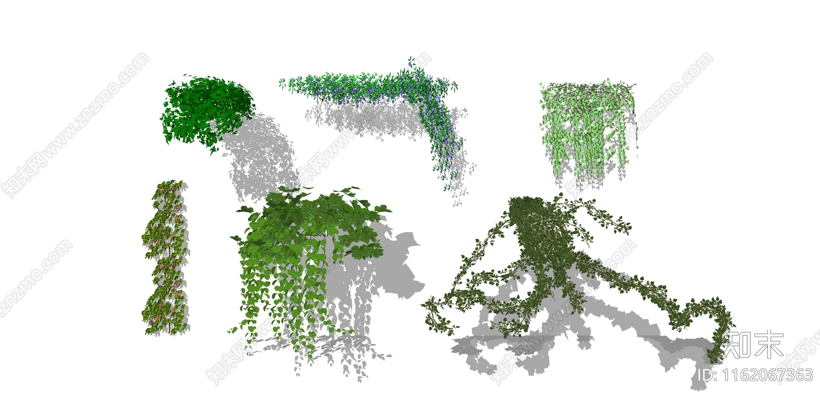 垂直绿化爬藤植物SU模型下载【ID:1162067363】