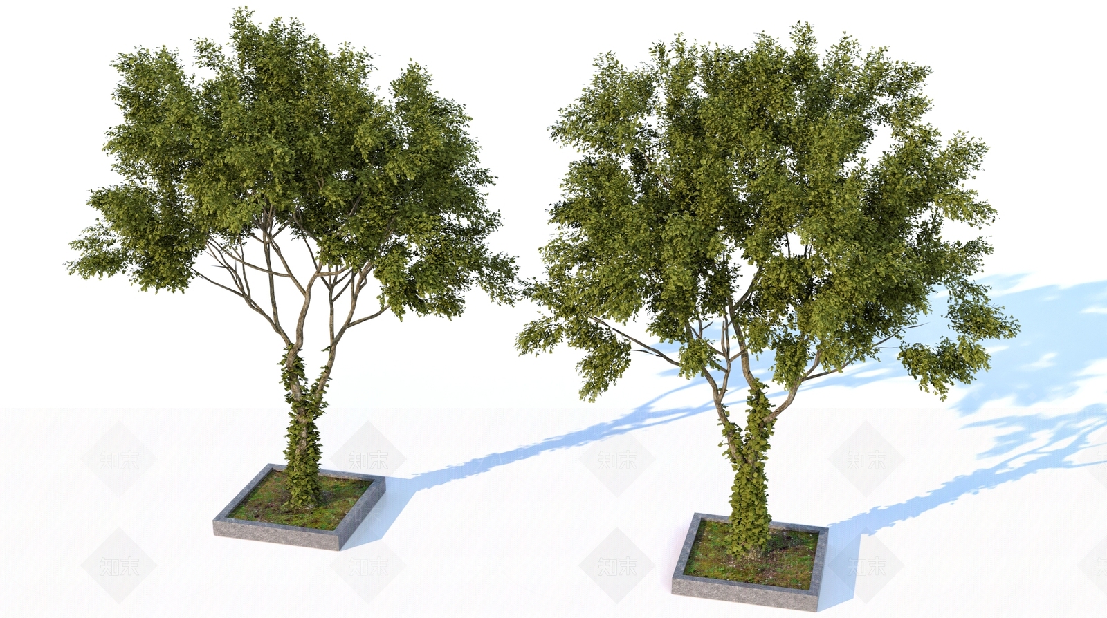 景观树SU模型下载【ID:1162126157】