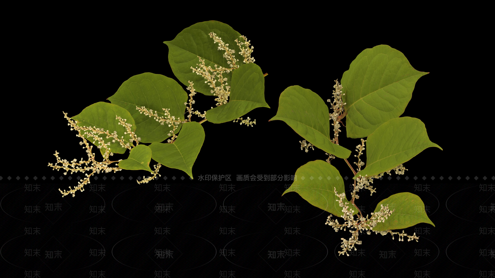 花草组合3D模型下载【ID:1162135246】