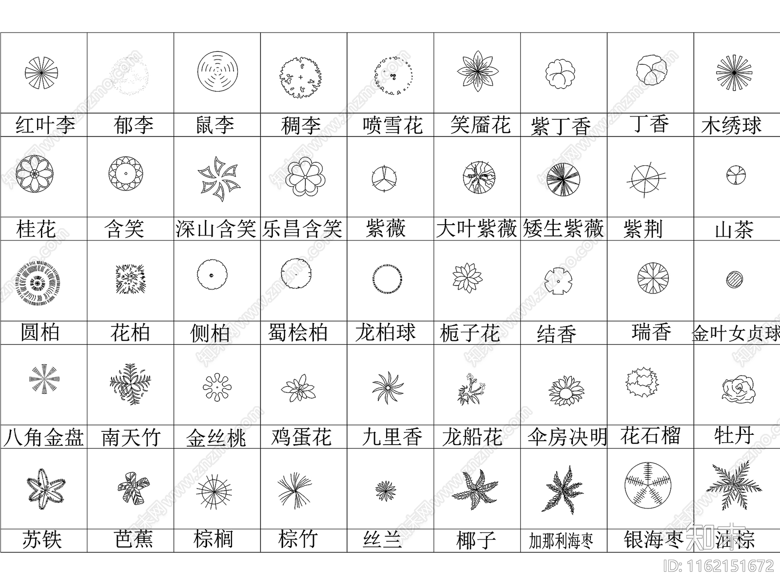 812款园林树木施工图下载【ID:1162151672】