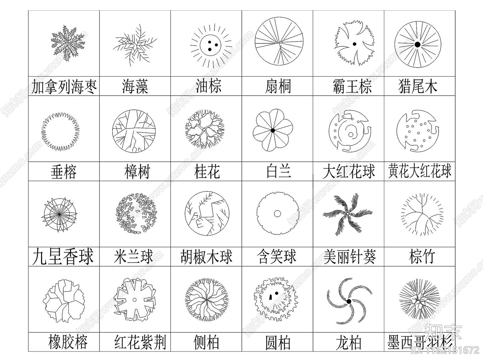 812款园林树木施工图下载【ID:1162151672】