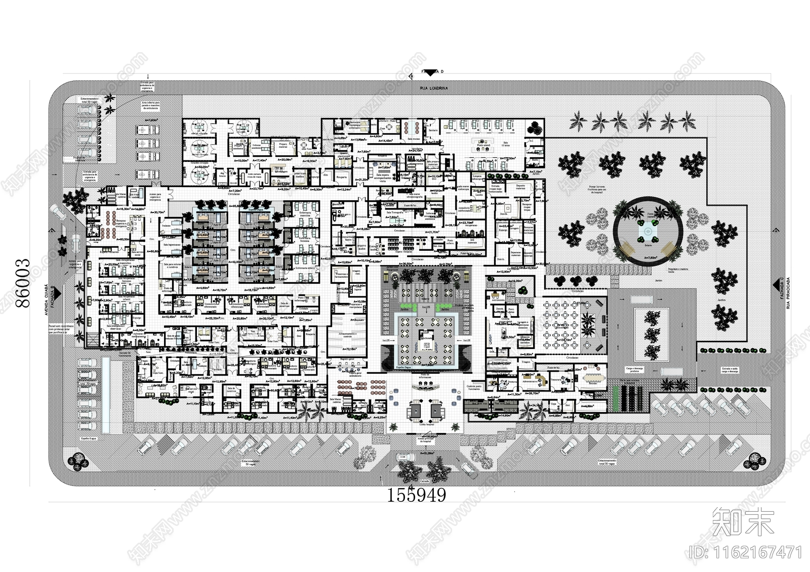 医院景观布局规划cad施工图下载【ID:1162167471】