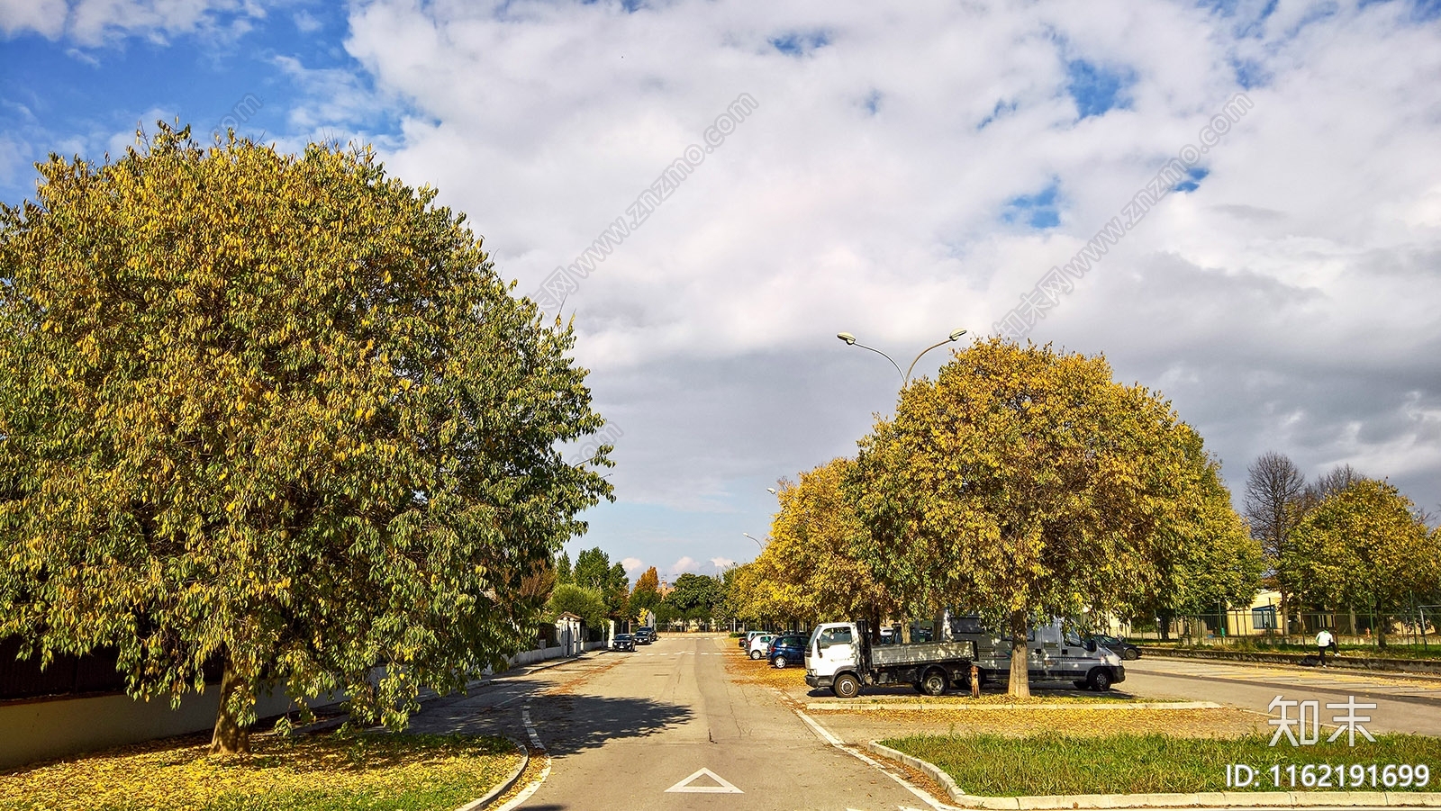 秋天的树木街道路面风景贴图下载【ID:1162191699】