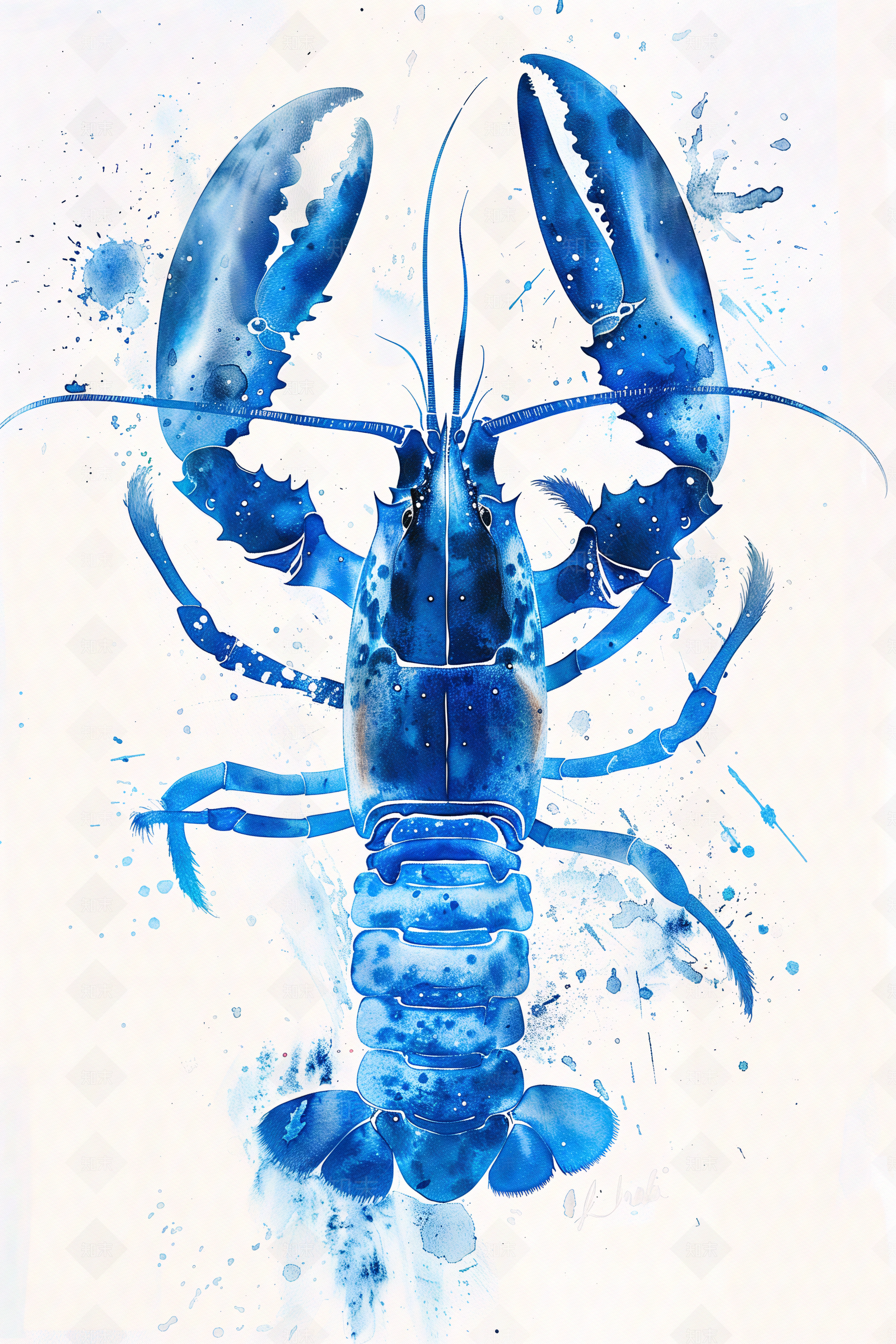 蓝色的龙虾挂画贴图下载【ID:1162205459】