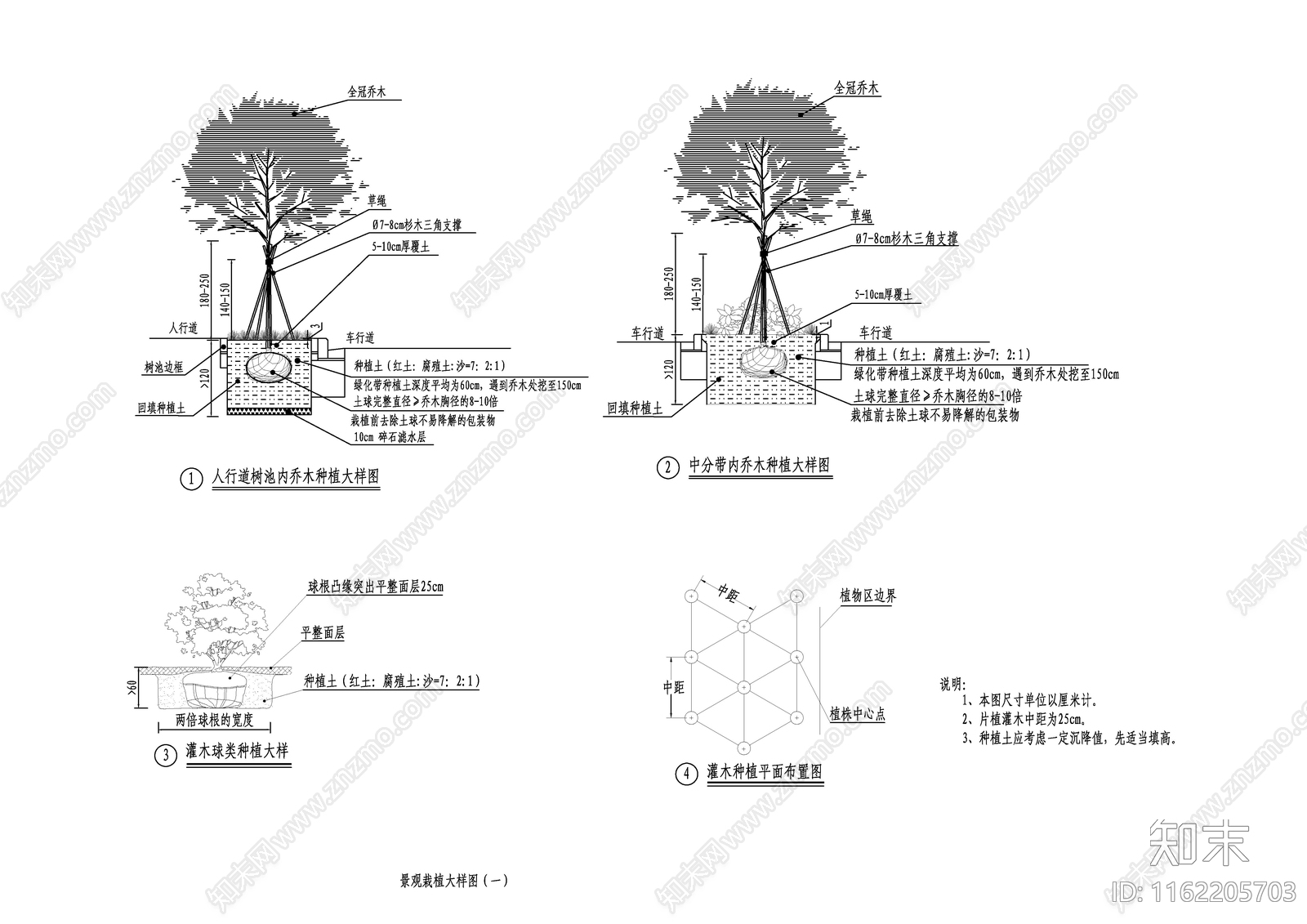 道路景观栽植大样图施工图下载【ID:1162205703】