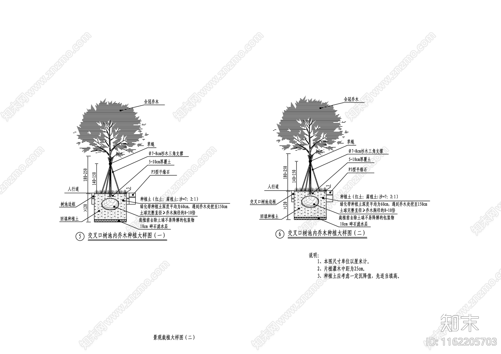 道路景观栽植大样图施工图下载【ID:1162205703】