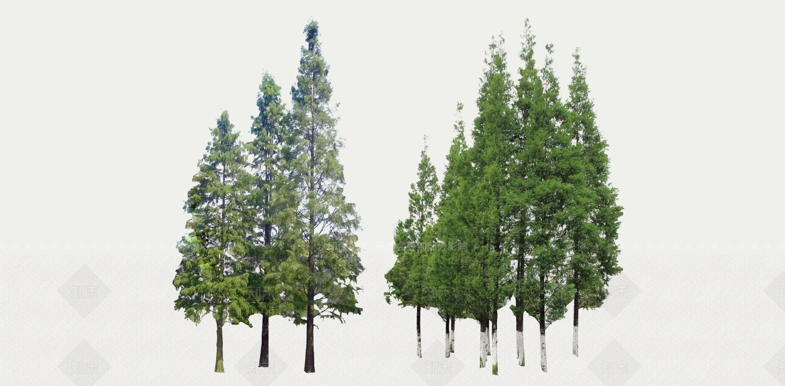 2D杉树SU模型下载【ID:1162220719】