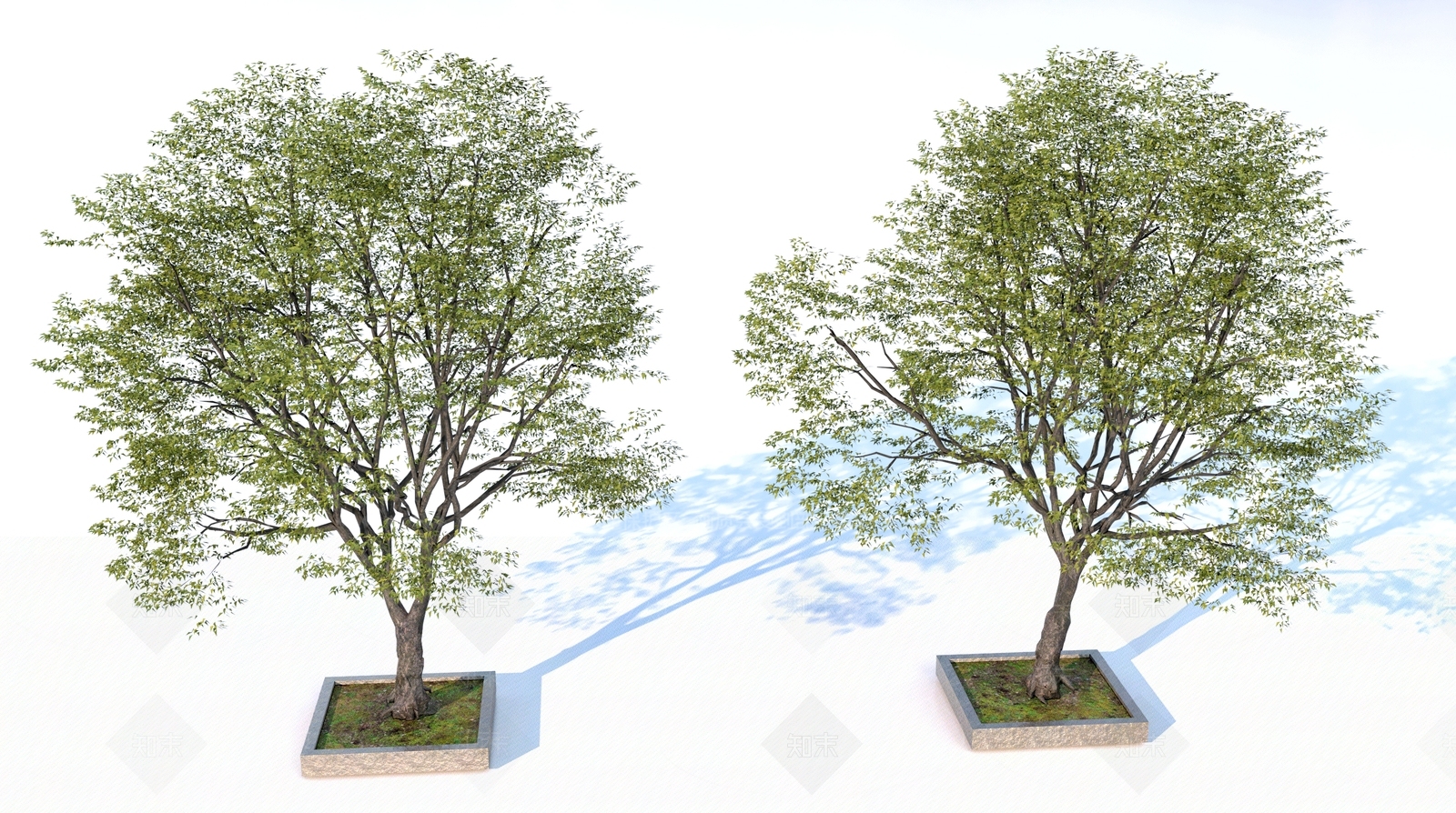 景观树3D模型下载【ID:1162239479】