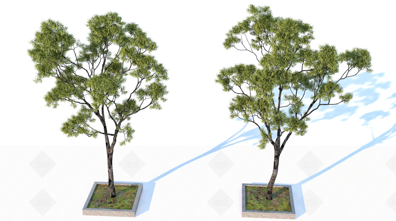 景观树3D模型下载【ID:1162239730】