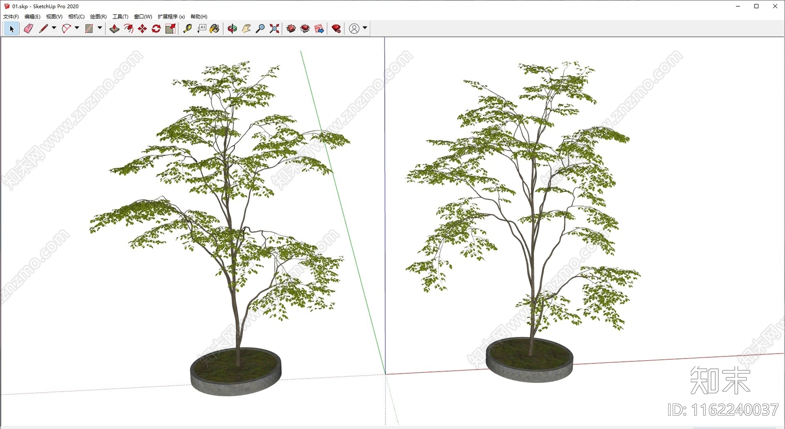 景观树SU模型下载【ID:1162240037】