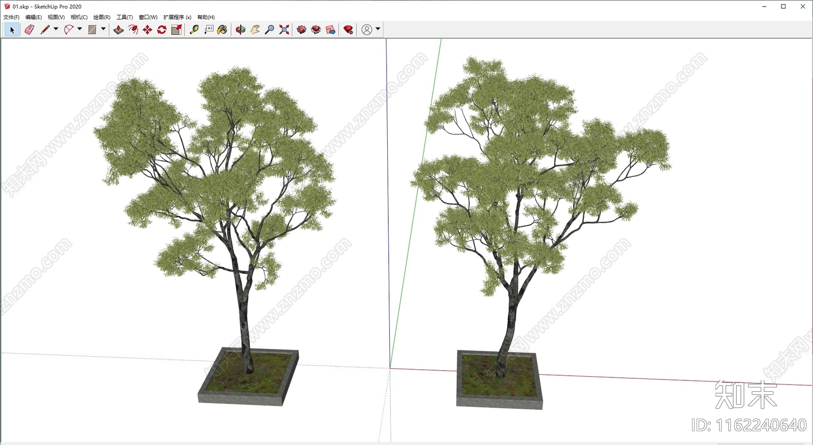 景观树SU模型下载【ID:1162240640】