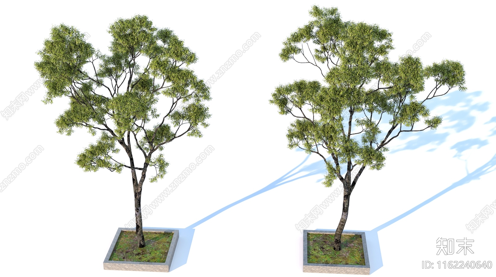 景观树SU模型下载【ID:1162240640】