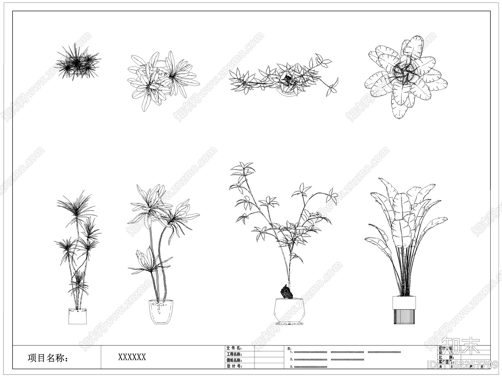 现代绿植盆栽盆景施工图下载【ID:1162257709】