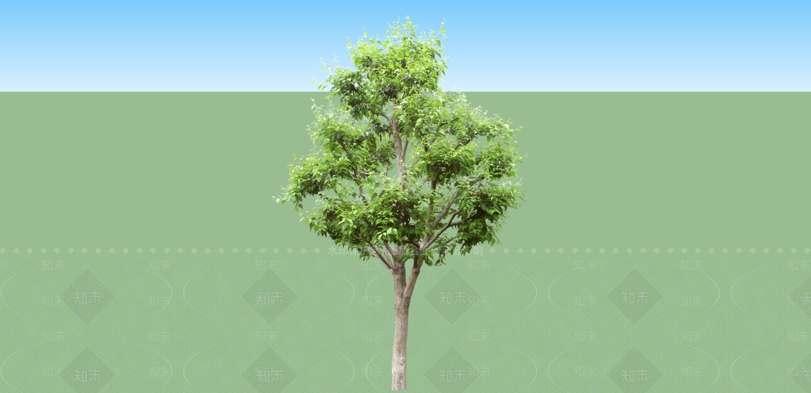 2D绿色植物SU模型下载【ID:1162269250】