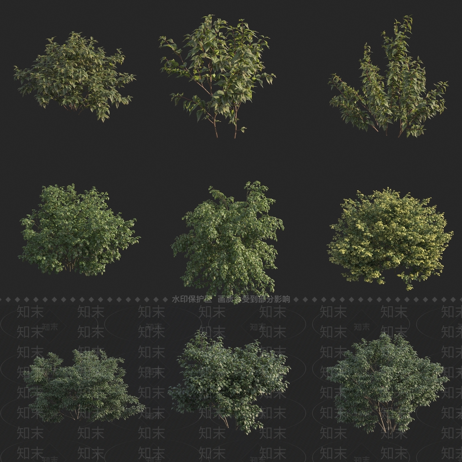 现代灌木3D模型下载【ID:1162275705】