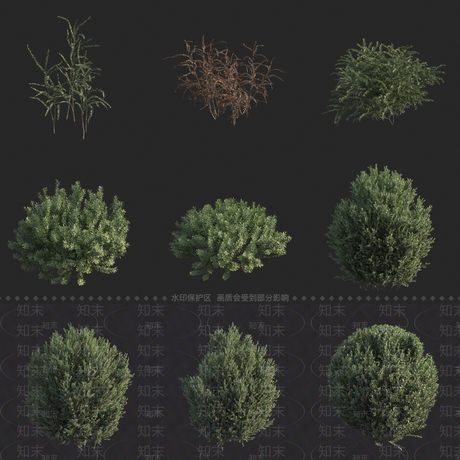 现代灌木3D模型下载【ID:1162275913】