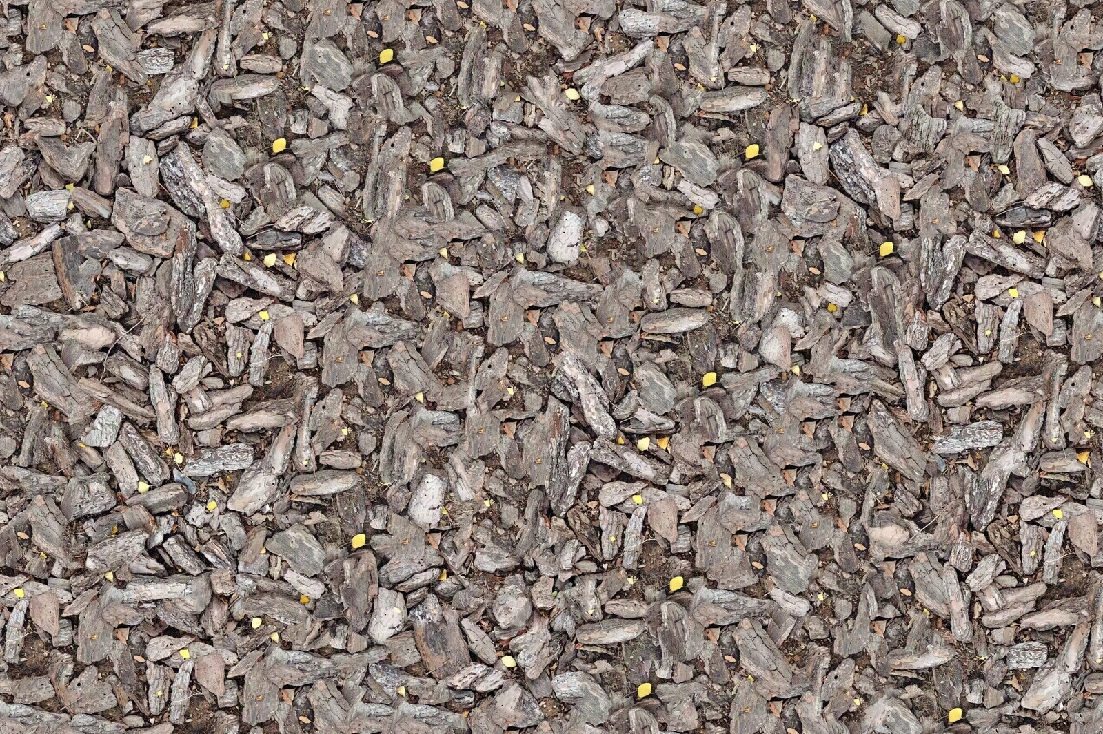 无缝树皮松树皮花镜树池覆盖物贴图下载【ID:1162280806】