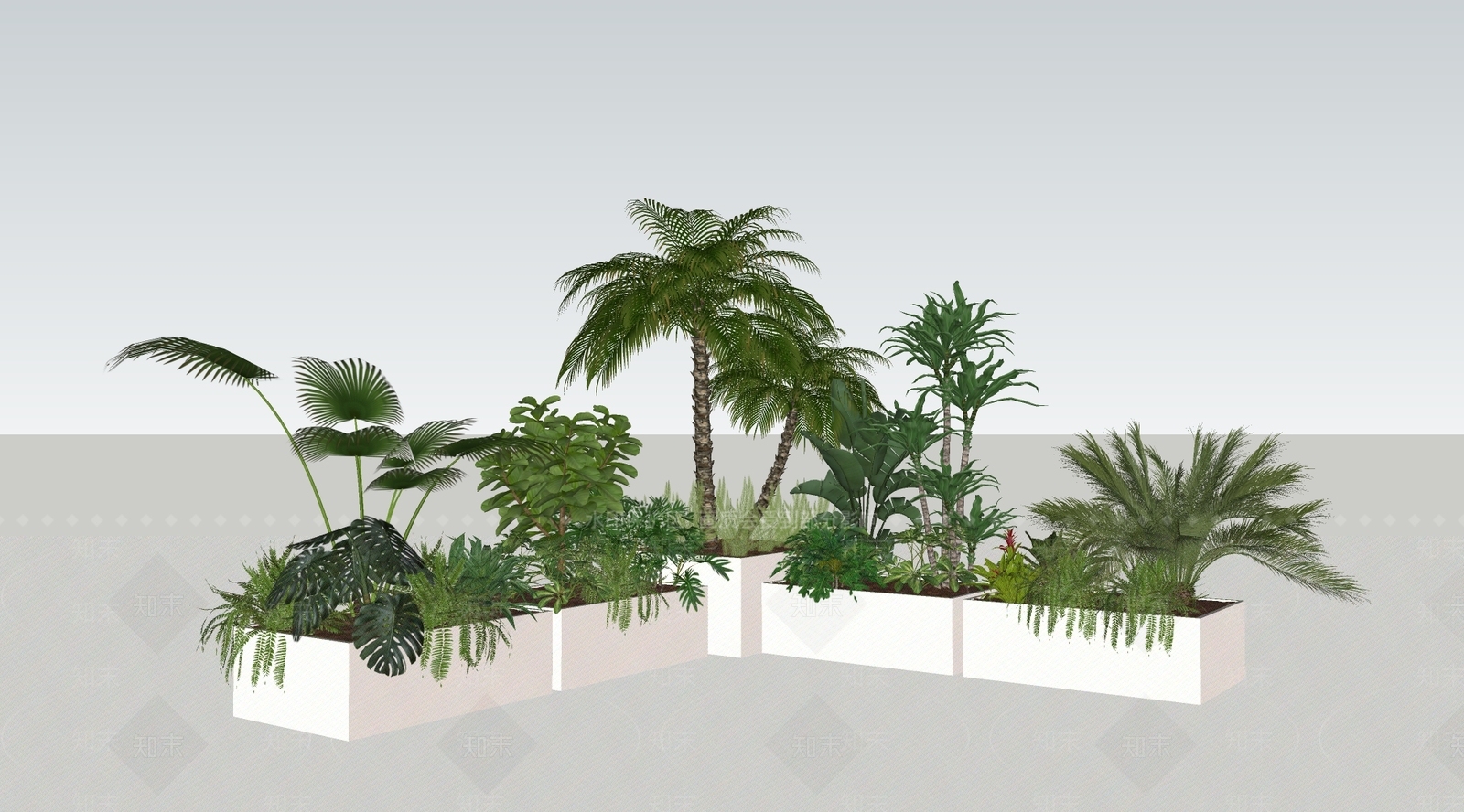 热带植物组合SU模型下载【ID:1162316522】