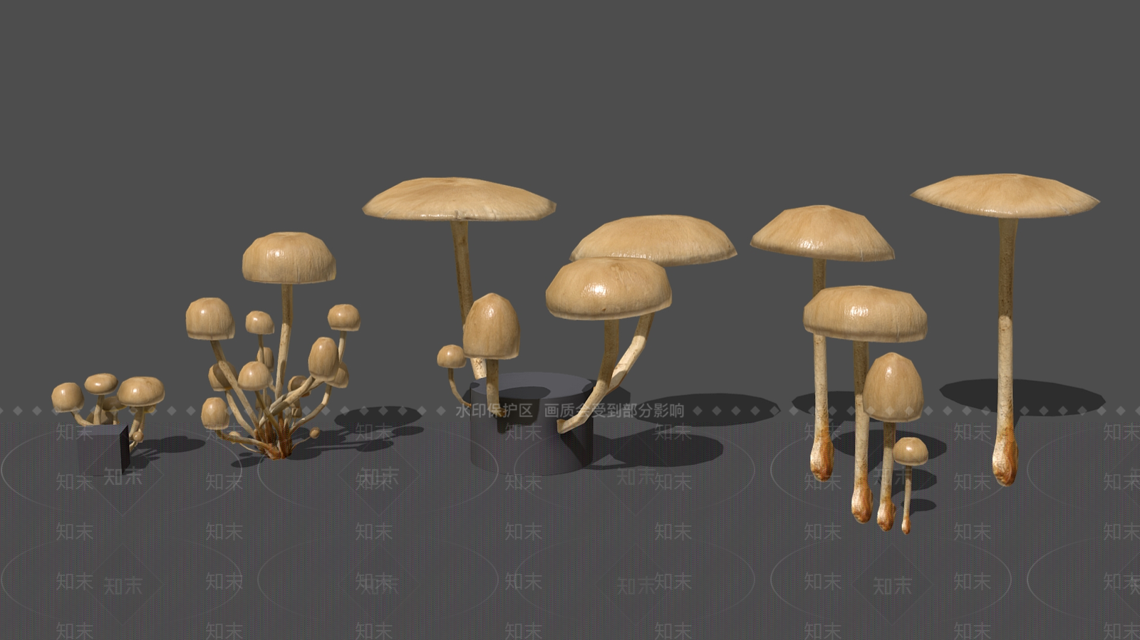 现代野生蘑菇SU模型下载【ID:1162316371】