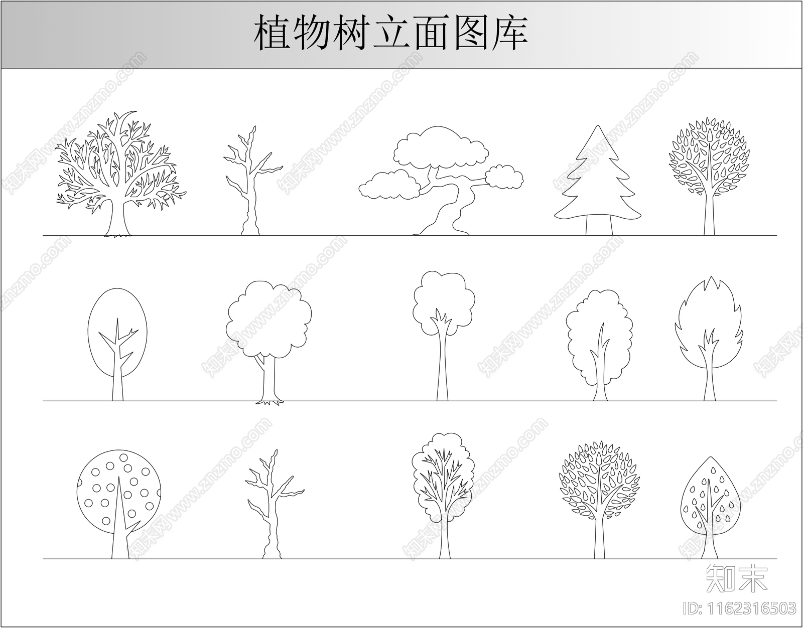 植物树立面图库施工图下载【ID:1162316503】
