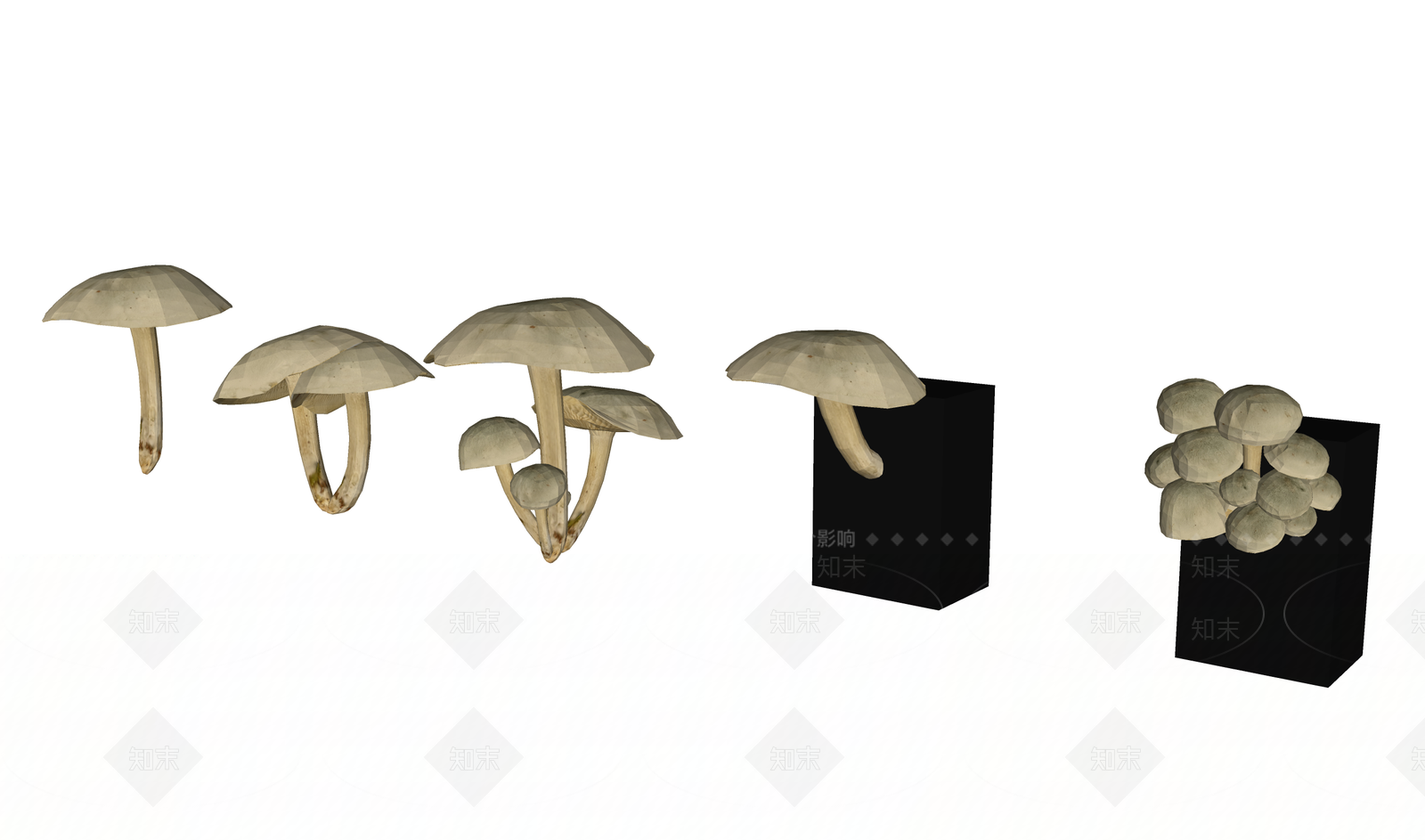 现代野生蘑菇SU模型下载【ID:1162317047】