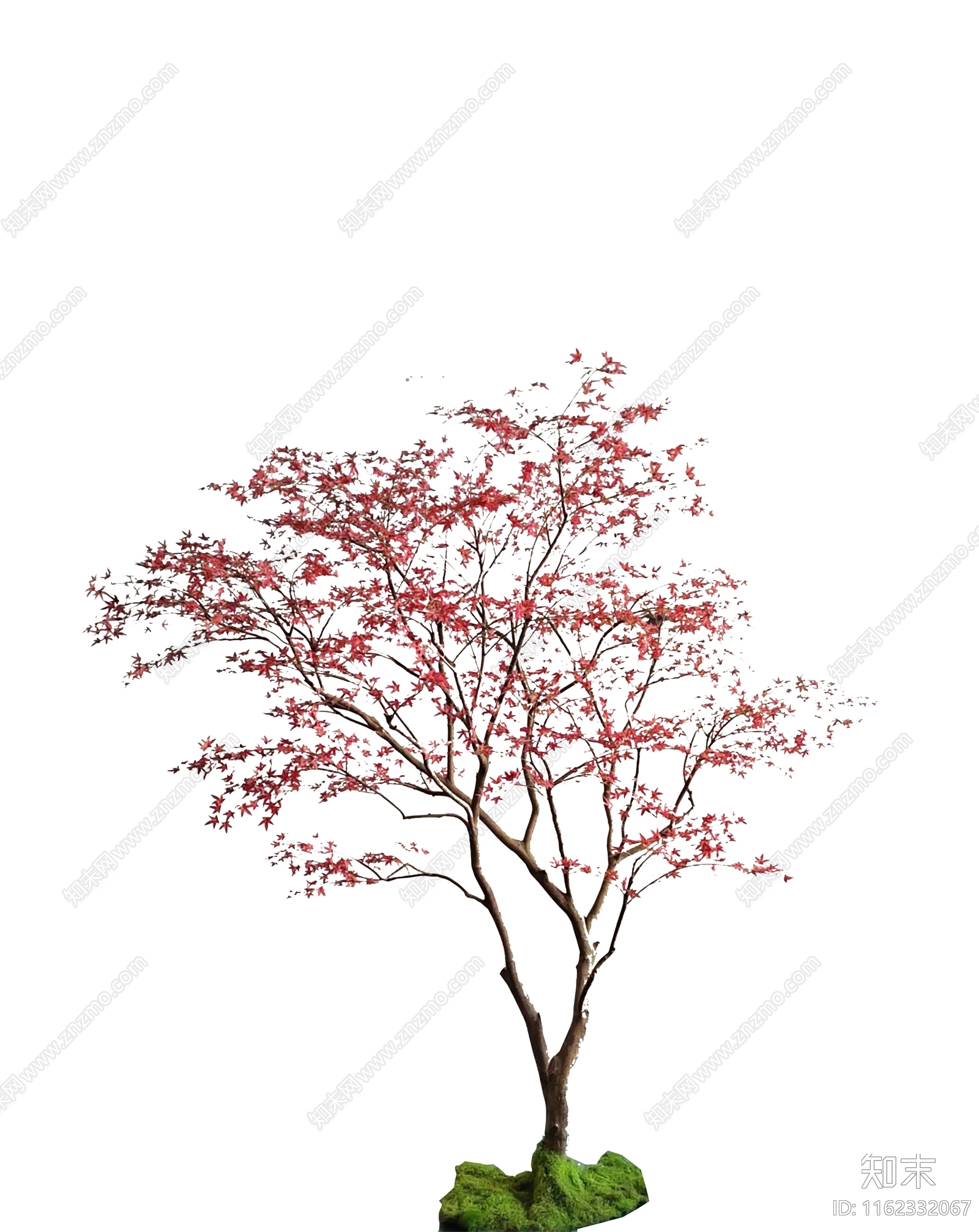 PSD免抠特选红枫摆件下载【ID:1162332067】