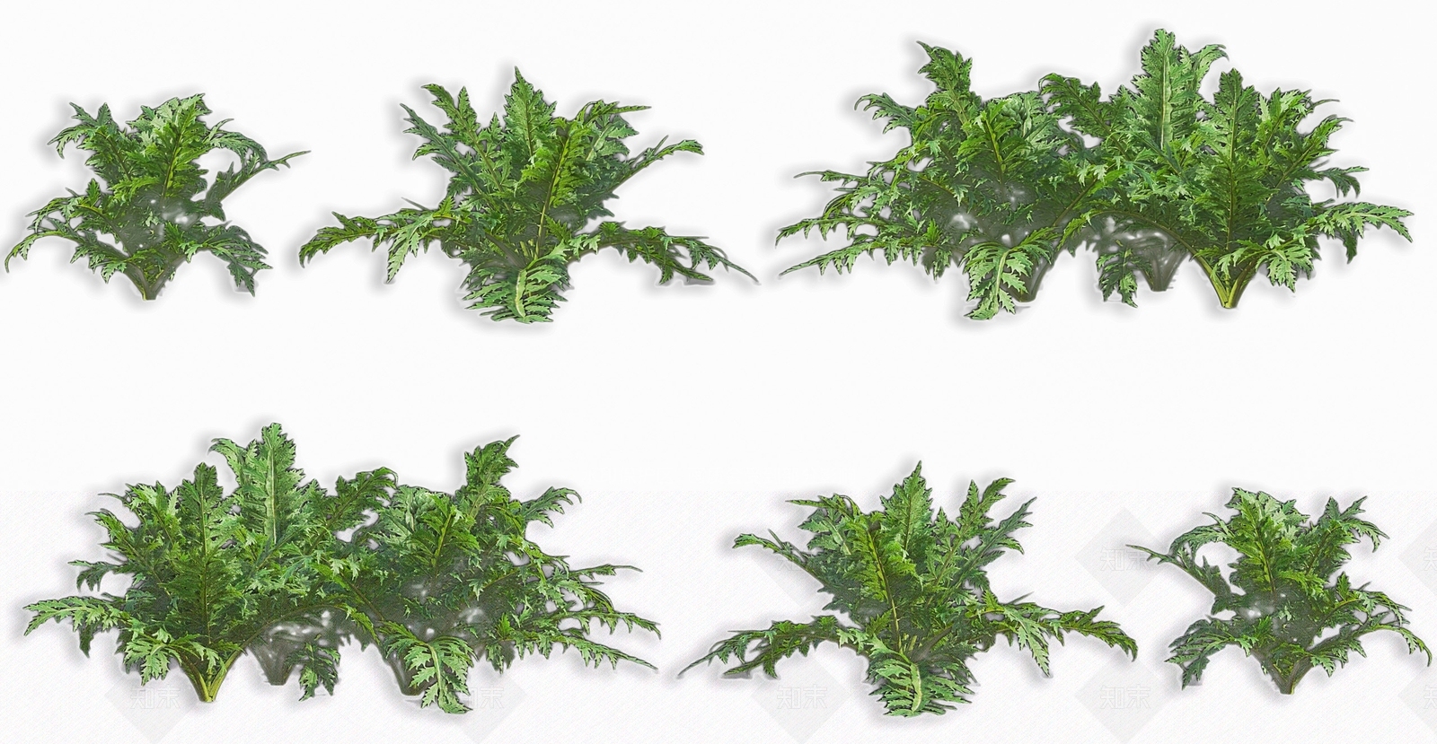 现代菜蓟雅枝竹蔬菜植物3D模型下载【ID:1162338122】