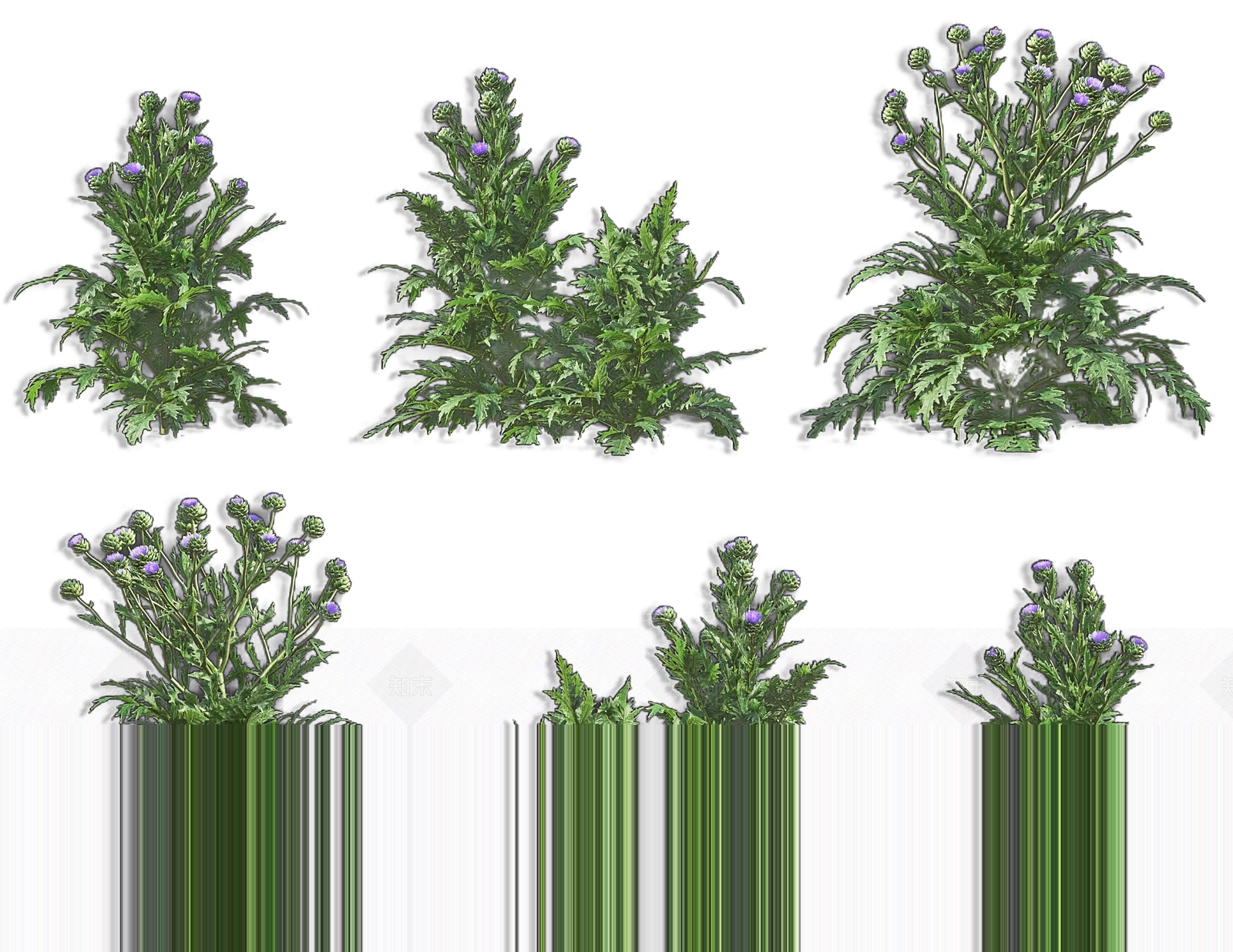 现代菜蓟雅枝竹蔬菜植物3D模型下载【ID:1162338598】