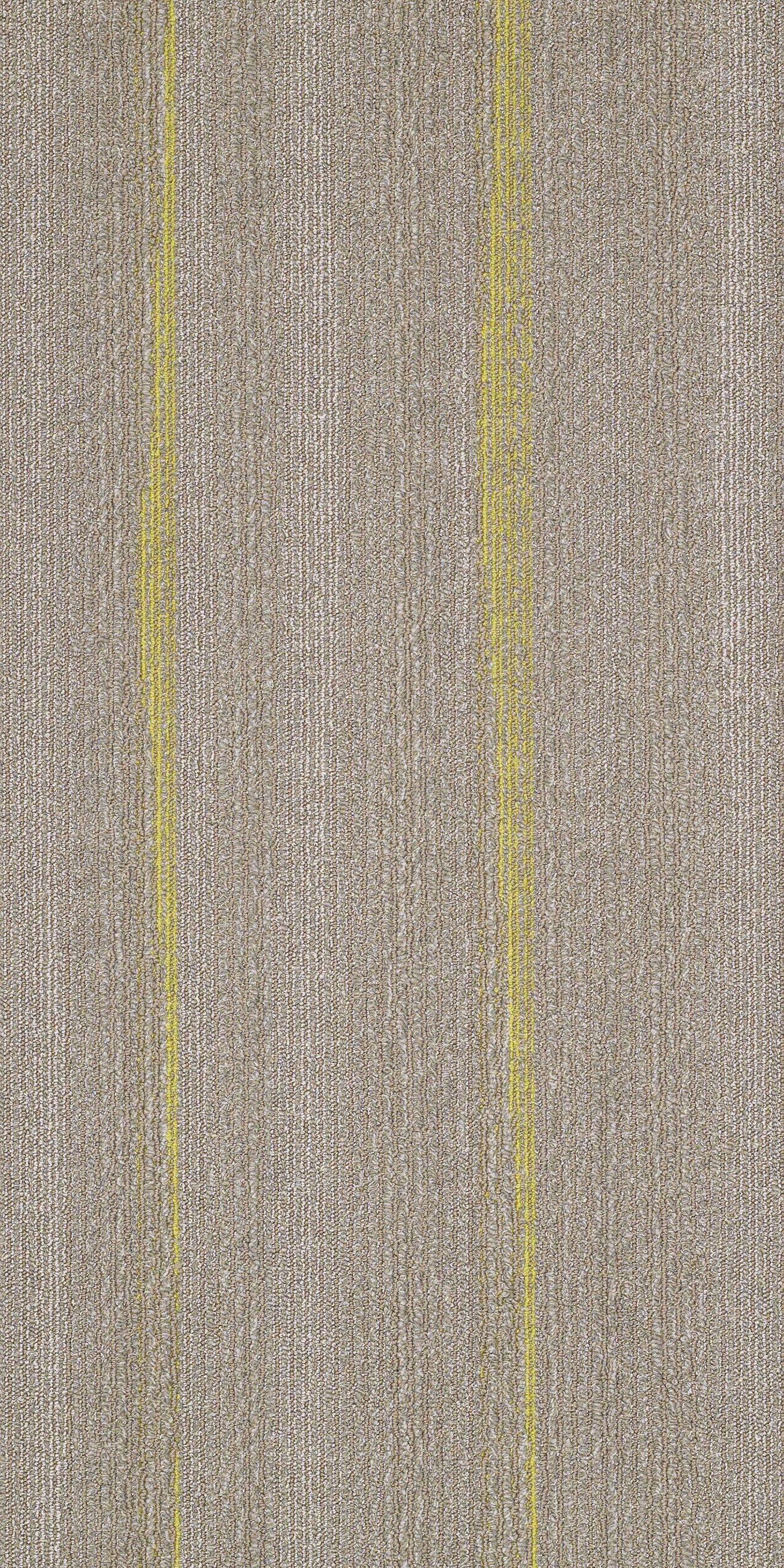 灰色办公会议室酒店走廊宴会厅地毯贴图下载【ID:1162356411】