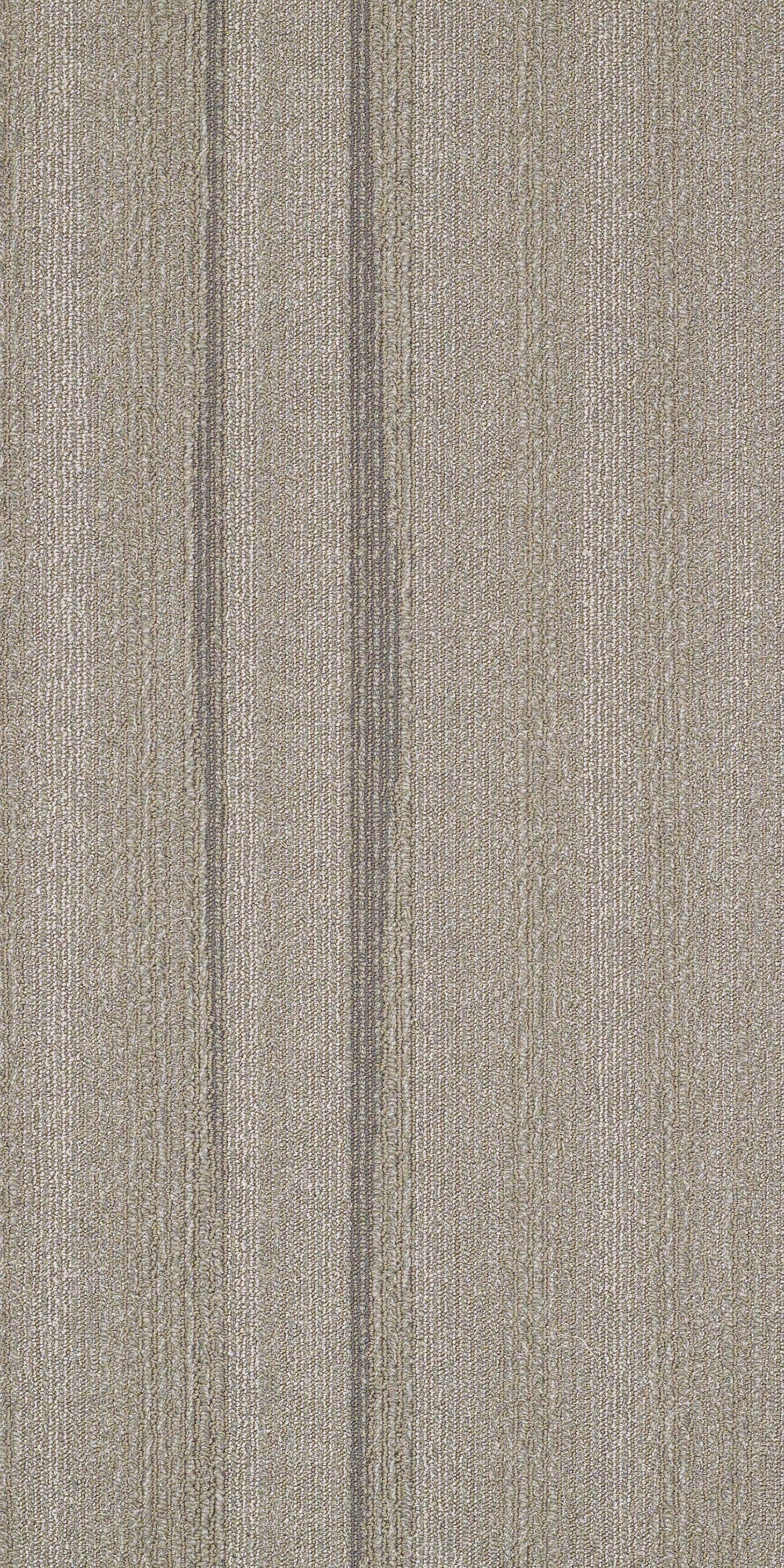 灰色办公会议室酒店走廊宴会厅地毯贴图下载【ID:1162356576】