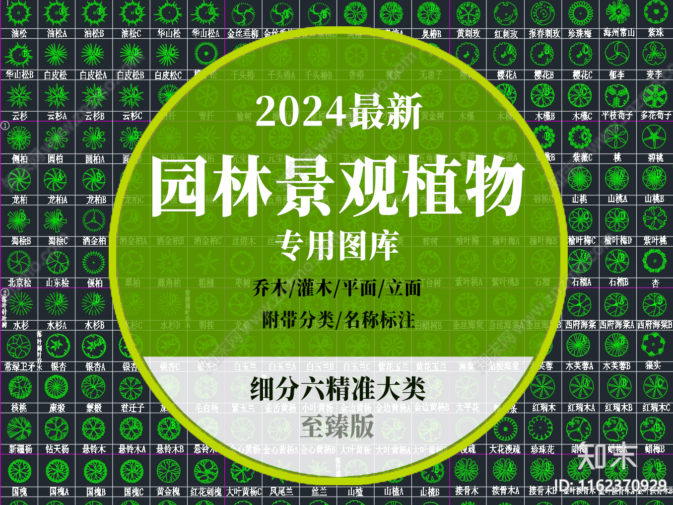 园林景观植物图库至臻版施工图下载【ID:1162370929】