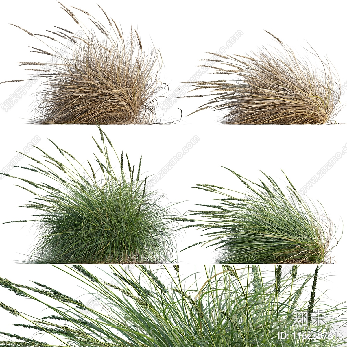 现代芦苇3D模型下载【ID:1162397218】