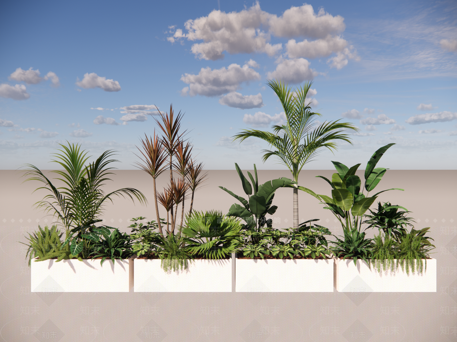 热带植物组合SU模型下载【ID:1162413676】