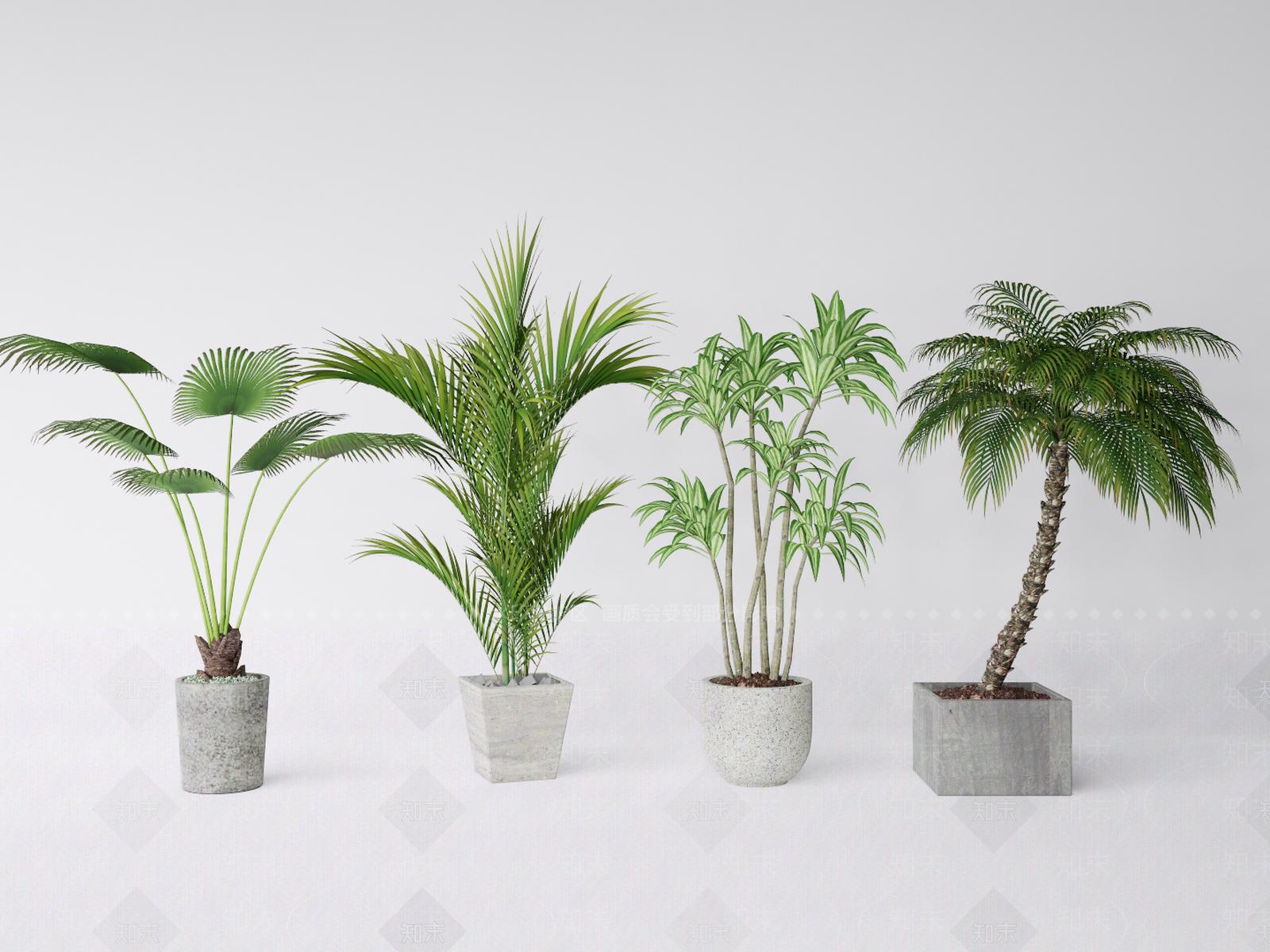 热带植物盆栽组合SU模型下载【ID:1162422111】