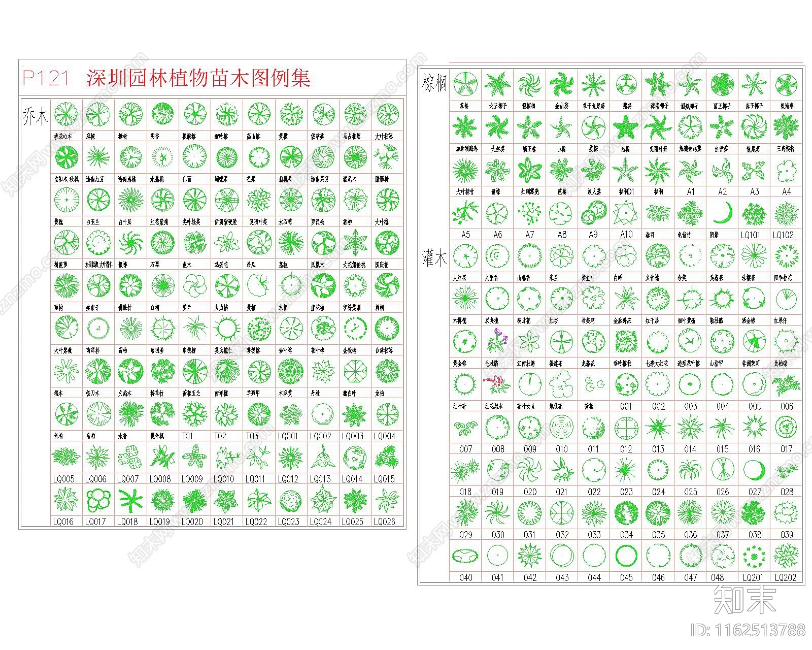 苗木表植物图例乔木灌木水生植物规格苗木配置说明表常用景观植物表园林绿化施工图下载【ID:1162513788】