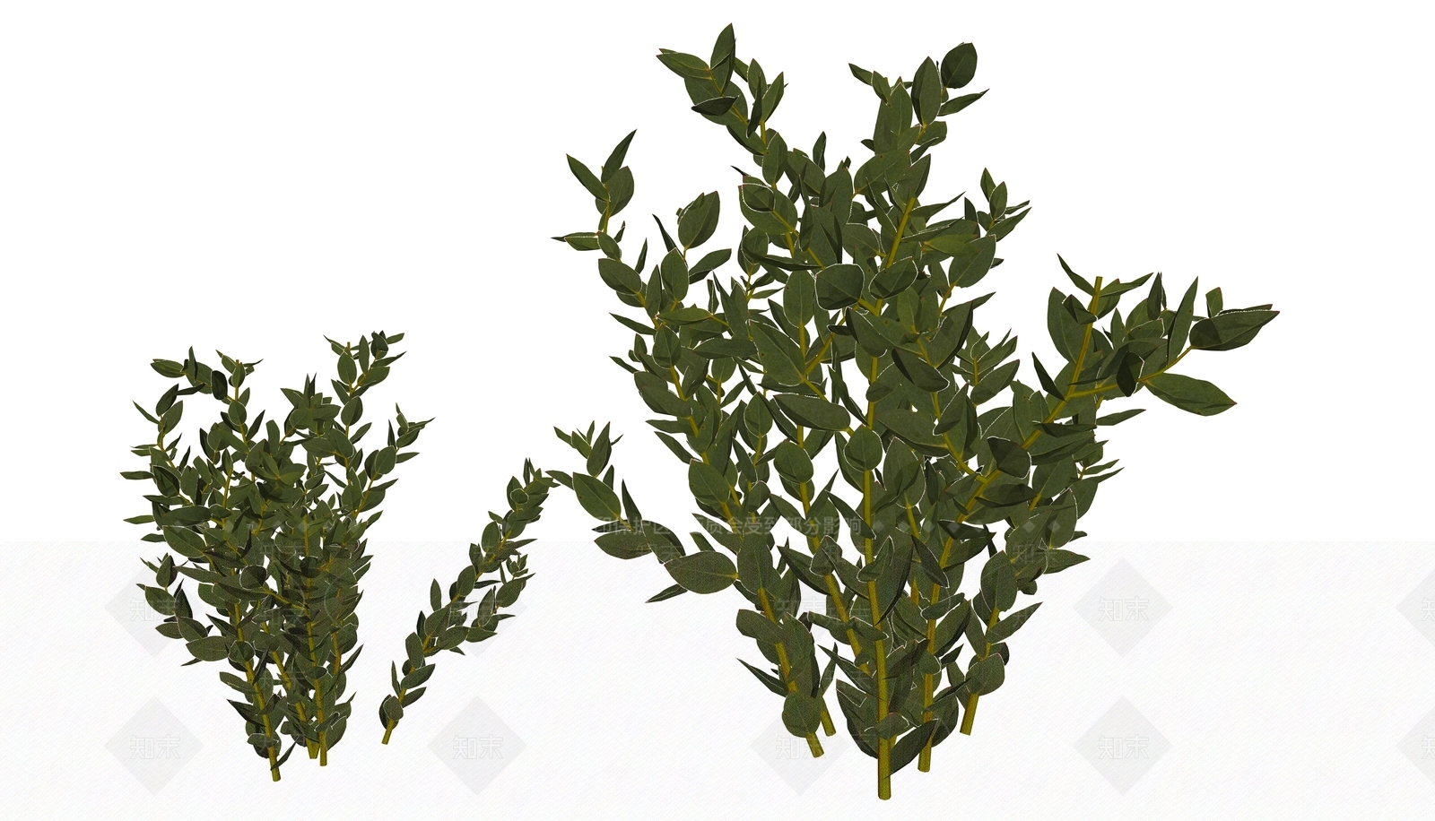 现代变色龙木百合灌木绿植SU模型下载【ID:1162472933】