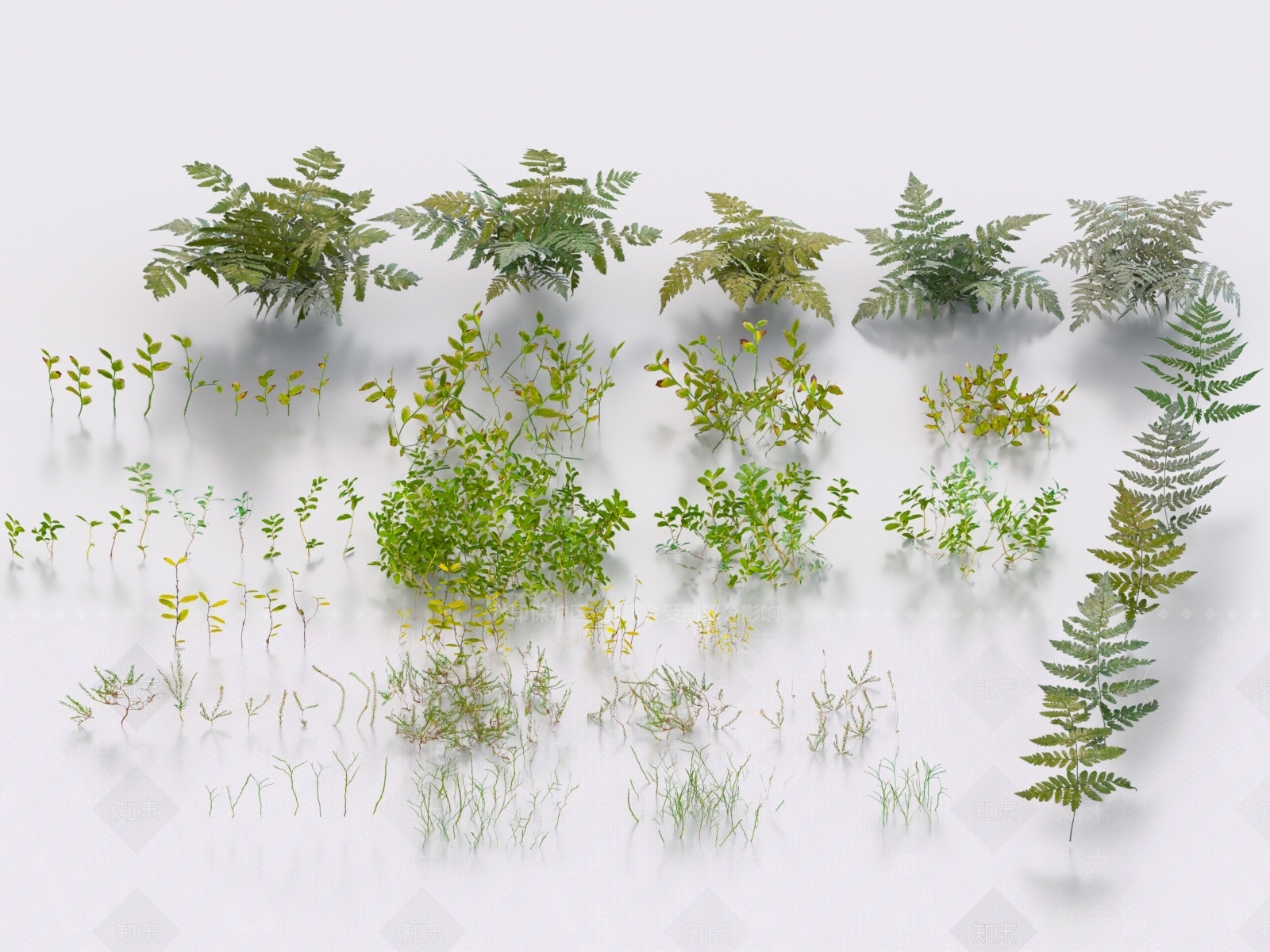 灌木3D模型下载【ID:1162514071】