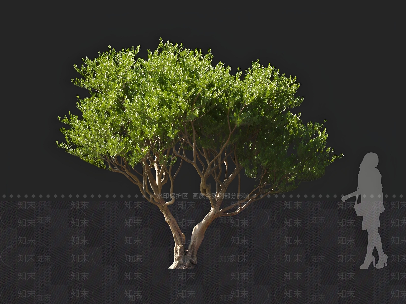 阿甘树3D模型下载【ID:1162543771】